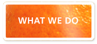 What We Do